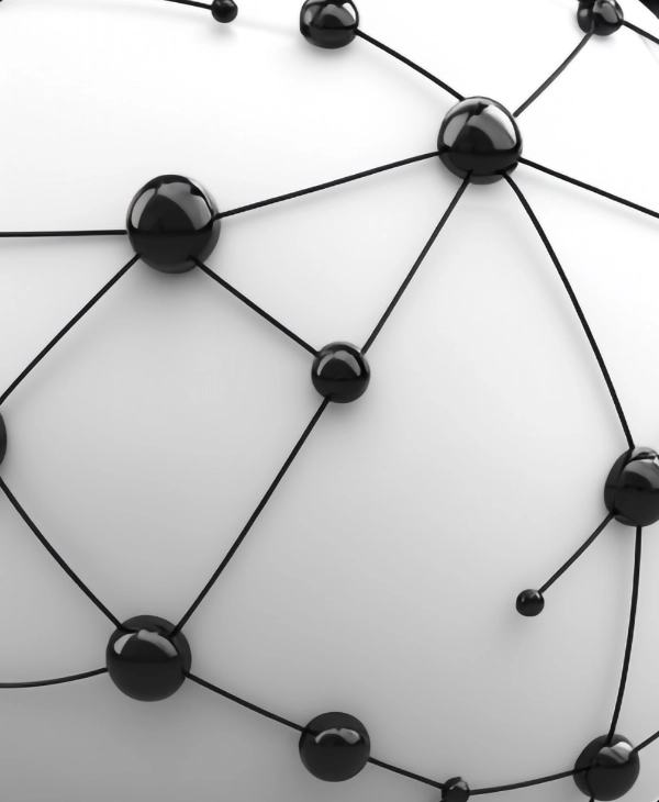 Service capability showcase by 107 Studio