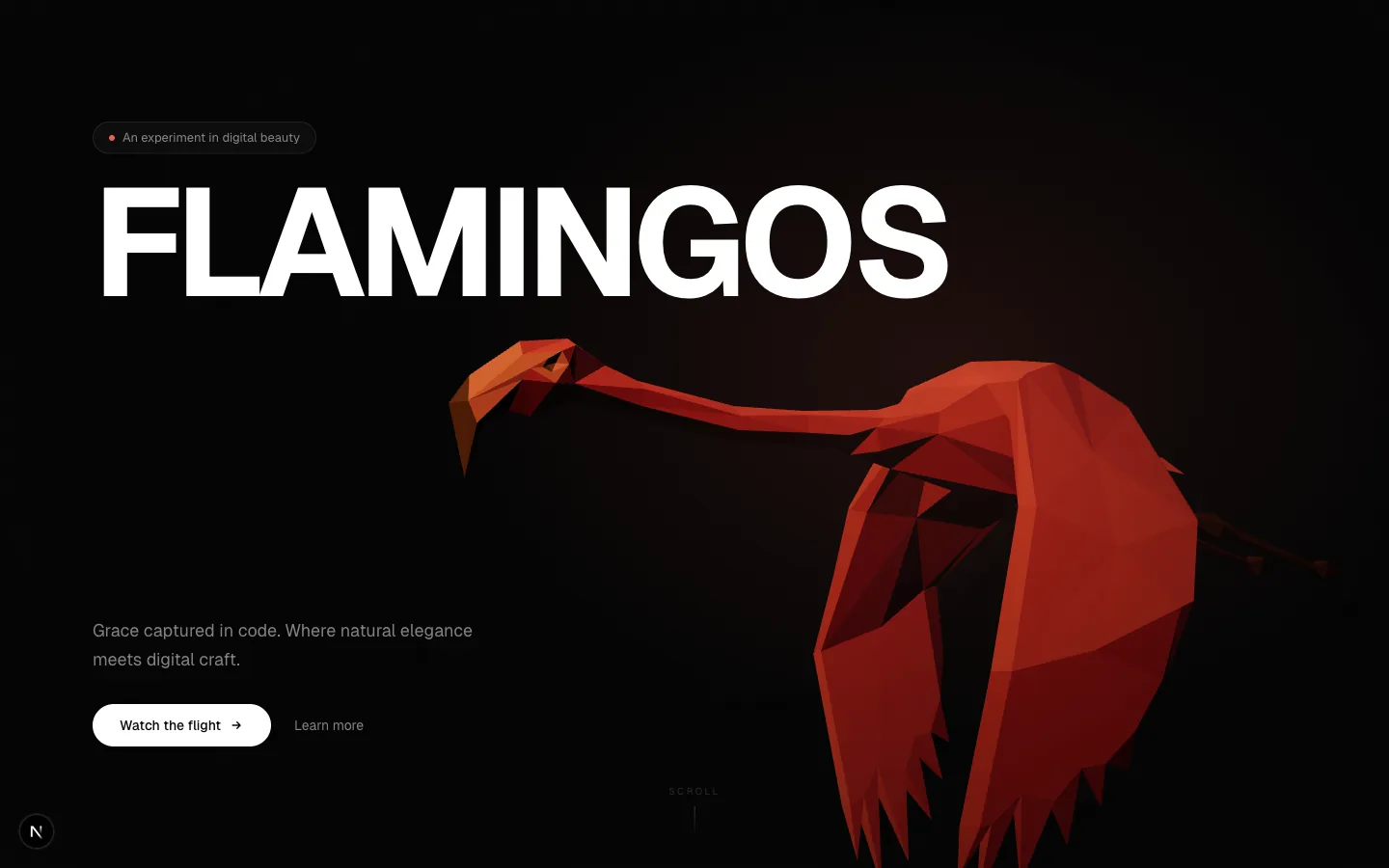 Flamingos — 1